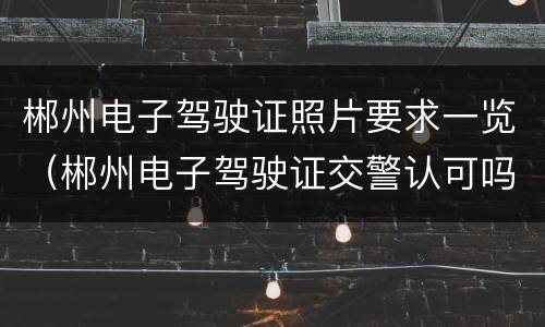 郴州电子驾驶证照片要求一览（郴州电子驾驶证交警认可吗）