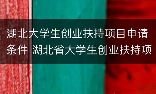 湖北大学生创业扶持项目申请条件 湖北省大学生创业扶持项目