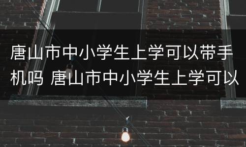 唐山市中小学生上学可以带手机吗 唐山市中小学生上学可以带手机吗知乎