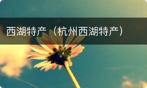西湖特产（杭州西湖特产）
