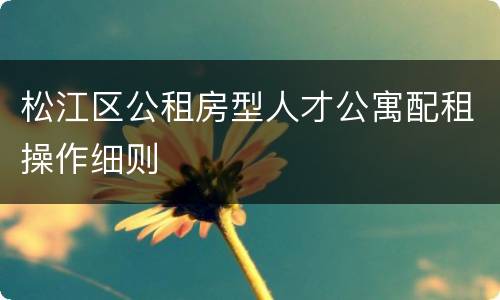 松江区公租房型人才公寓配租操作细则