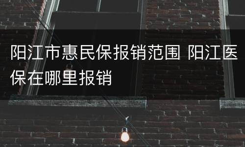 阳江市惠民保报销范围 阳江医保在哪里报销