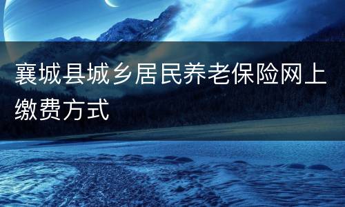 襄城县城乡居民养老保险网上缴费方式