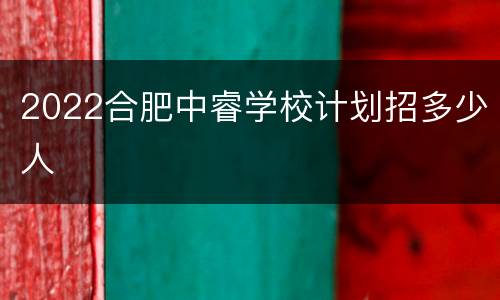 2022合肥中睿学校计划招多少人