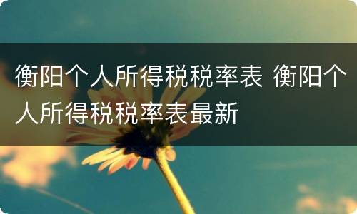 衡阳个人所得税税率表 衡阳个人所得税税率表最新
