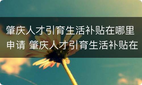 肇庆人才引育生活补贴在哪里申请 肇庆人才引育生活补贴在哪里申请的