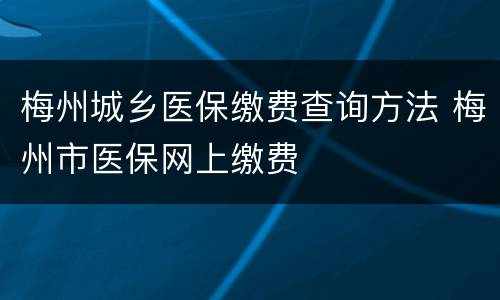 梅州城乡医保缴费查询方法 梅州市医保网上缴费