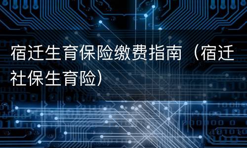 宿迁生育保险缴费指南（宿迁社保生育险）