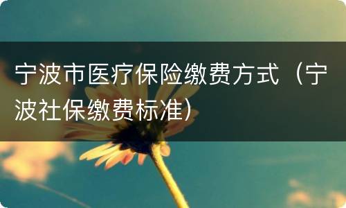 宁波市医疗保险缴费方式（宁波社保缴费标准）
