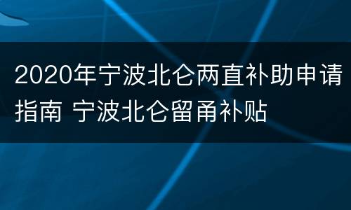 2020年宁波北仑两直补助申请指南 宁波北仑留甬补贴