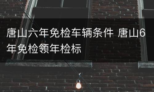 唐山六年免检车辆条件 唐山6年免检领年检标