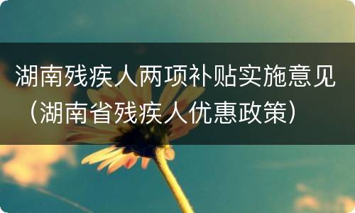 湖南残疾人两项补贴实施意见（湖南省残疾人优惠政策）