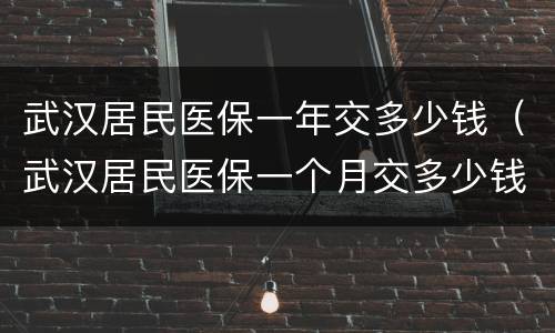 武汉居民医保一年交多少钱（武汉居民医保一个月交多少钱）