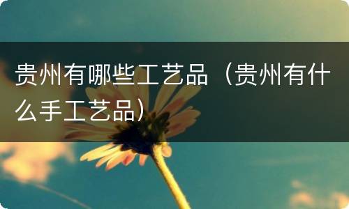 贵州有哪些工艺品（贵州有什么手工艺品）