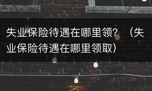 失业保险待遇在哪里领？（失业保险待遇在哪里领取）