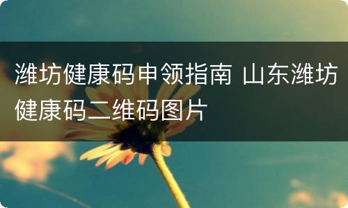 潍坊健康码申领指南 山东潍坊健康码二维码图片