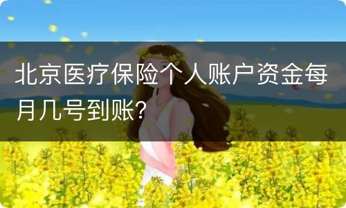 北京医疗保险个人账户资金每月几号到账？