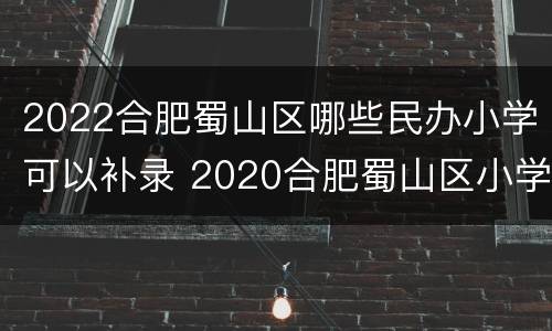 2022合肥蜀山区哪些民办小学可以补录 2020合肥蜀山区小学划分