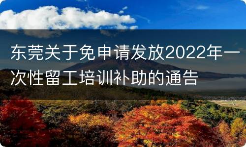 东莞关于免申请发放2022年一次性留工培训补助的通告