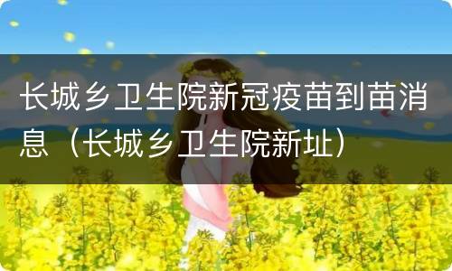 长城乡卫生院新冠疫苗到苗消息（长城乡卫生院新址）