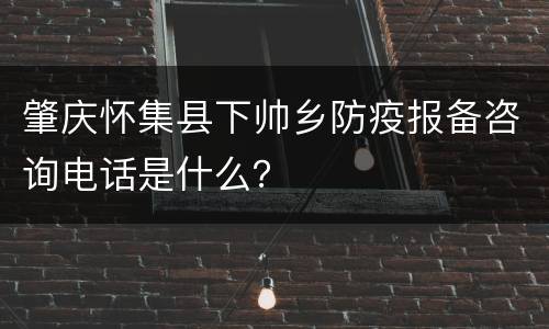 肇庆怀集县下帅乡防疫报备咨询电话是什么？