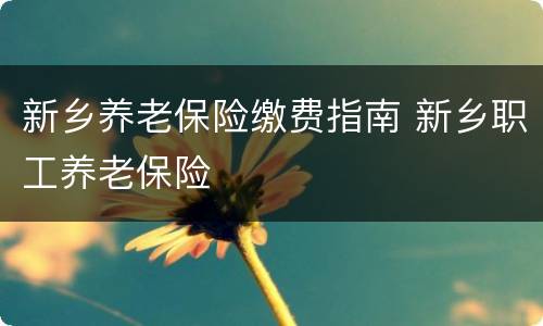 新乡养老保险缴费指南 新乡职工养老保险
