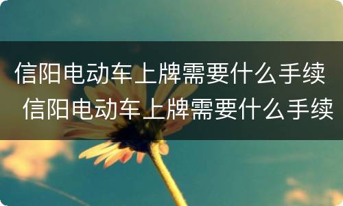 信阳电动车上牌需要什么手续 信阳电动车上牌需要什么手续费