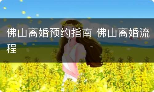 佛山离婚预约指南 佛山离婚流程