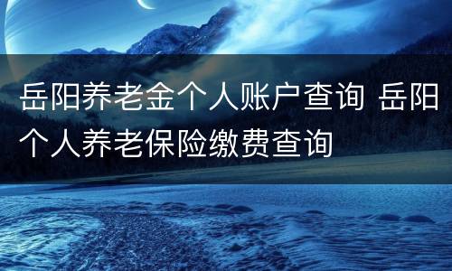 岳阳养老金个人账户查询 岳阳个人养老保险缴费查询