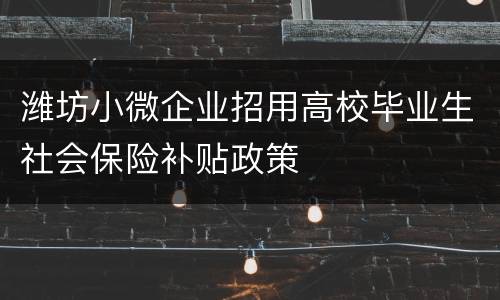潍坊小微企业招用高校毕业生社会保险补贴政策