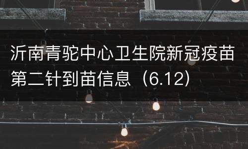 沂南青驼中心卫生院新冠疫苗第二针到苗信息（6.12）