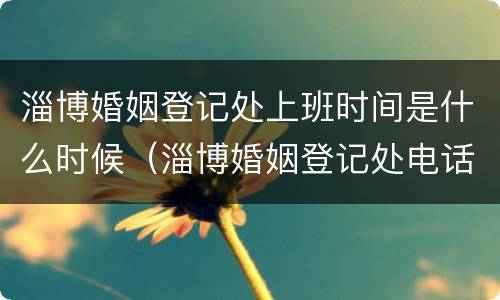 淄博婚姻登记处上班时间是什么时候（淄博婚姻登记处电话）