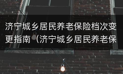 济宁城乡居民养老保险档次变更指南（济宁城乡居民养老保险缴费时间）