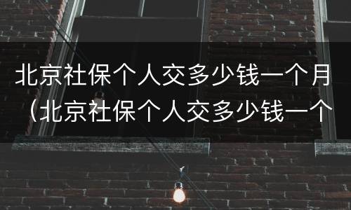 北京社保个人交多少钱一个月（北京社保个人交多少钱一个月医保反多少钱）