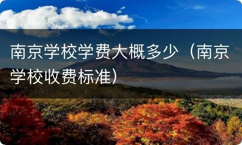 南京学校学费大概多少（南京学校收费标准）
