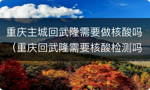 重庆主城回武隆需要做核酸吗（重庆回武隆需要核酸检测吗）