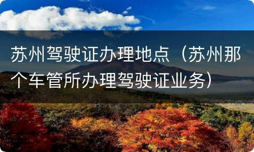 苏州驾驶证办理地点（苏州那个车管所办理驾驶证业务）