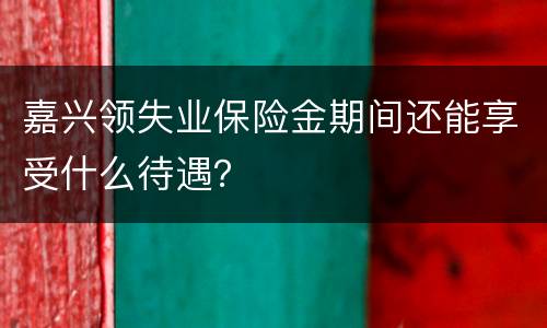 嘉兴领失业保险金期间还能享受什么待遇？