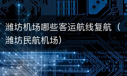 潍坊机场哪些客运航线复航（潍坊民航机场）