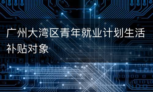 广州大湾区青年就业计划生活补贴对象