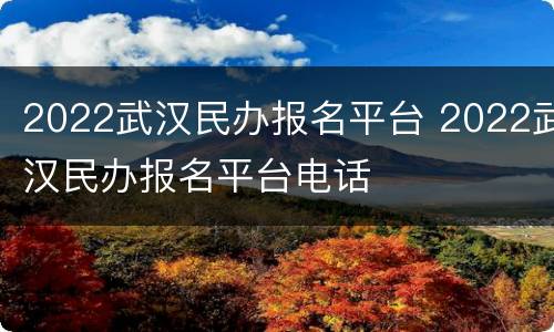 2022武汉民办报名平台 2022武汉民办报名平台电话
