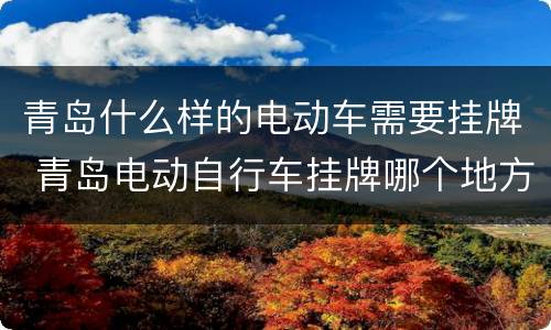 青岛什么样的电动车需要挂牌 青岛电动自行车挂牌哪个地方挂