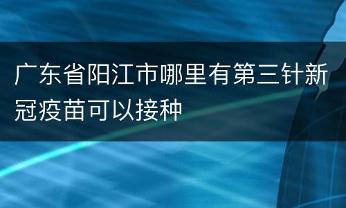 广东省阳江市哪里有第三针新冠疫苗可以接种