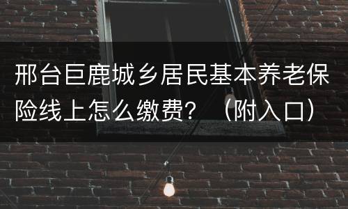邢台巨鹿城乡居民基本养老保险线上怎么缴费？（附入口）