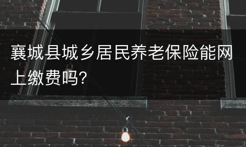襄城县城乡居民养老保险能网上缴费吗？