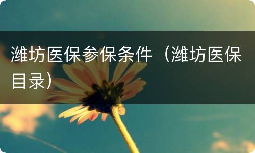 潍坊医保参保条件（潍坊医保目录）