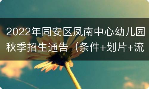 2022年同安区凤南中心幼儿园秋季招生通告（条件+划片+流程）