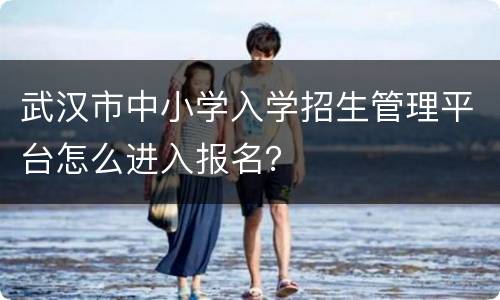 武汉市中小学入学招生管理平台怎么进入报名？