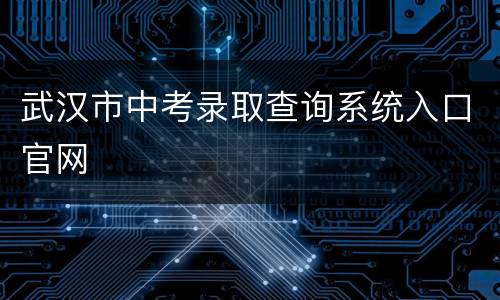 武汉市中考录取查询系统入口官网