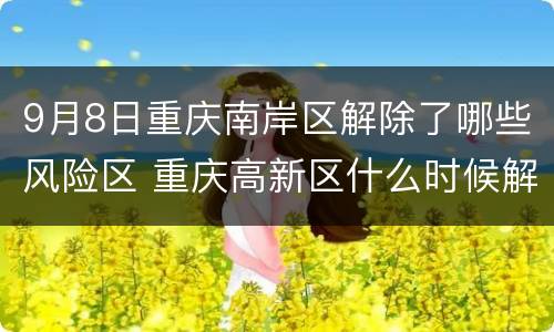 9月8日重庆南岸区解除了哪些风险区 重庆高新区什么时候解封